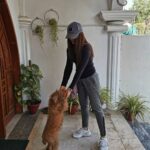 Ushna Shah Instagram - She wanted to drop me at the airport... (I’m back to being a brunette by the way) Her little paws almost stained my fresh @levispakistan kicks 👟 🐾 #happymonday #ushnashah #livinginlevis @levis #airportswag #sweatpantsandsneakers #comfortfirst #potd #toypoodle #auburntoypoodle #audreythetoypoodle #ootd #darkhair
