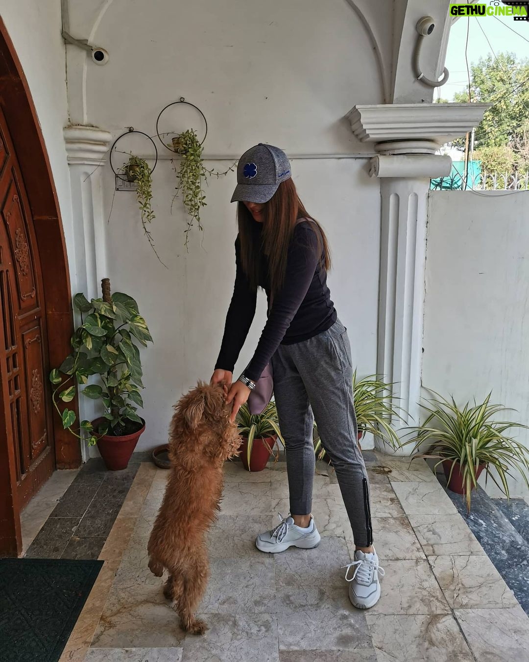 Ushna Shah Instagram - She wanted to drop me at the airport... (Iām back to being a brunette by the way) Her little paws almost stained my fresh @levispakistan kicks š š¾ #happymonday #ushnashah #livinginlevis @levis #airportswag #sweatpantsandsneakers #comfortfirst #potd #toypoodle #auburntoypoodle #audreythetoypoodle #ootd #darkhair