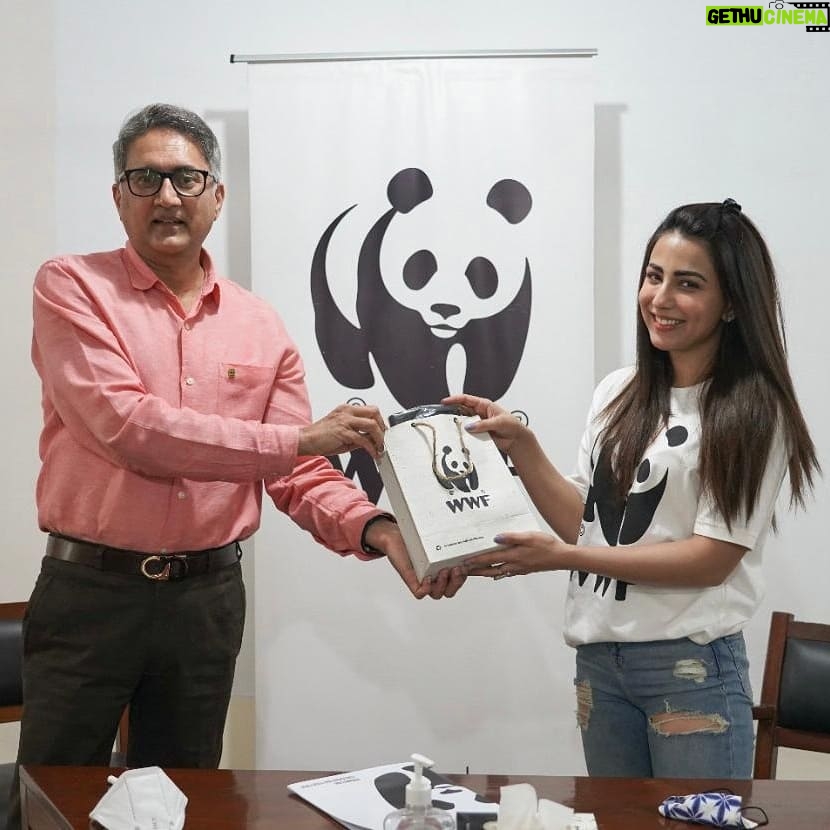 Ushna Shah Instagram - Honoured to join hands with WWFPAK as the Goodwill Ambassador and be a part of the panda family. WWF's mission is working to sustain the natural world for the benefit of people and nature. I am grateful for this platform and can not wait to get to work with these dedicated & passionate individuals. Wish us luck! 🐼 (The last two pictures are of me enjoying a gelato after my signing.. Just sharing my happy ) @wwfpak @wwf #ushnashah #wwfgoodwillambassador #conservation #wildlife #nature #wildlifephotography #animals #naturephotography #wildlifeconservation #photography #environment #travel #birds #animal #naturelovers #biodiversity #sustainability #wild #love #ocean #safari #hunting #climatechange #l #endangeredspecies #natgeo #earthhour