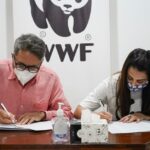 Ushna Shah Instagram - Honoured to join hands with WWFPAK as the Goodwill Ambassador and be a part of the panda family. WWF's mission is working to sustain the natural world for the benefit of people and nature. I am grateful for this platform and can not wait to get to work with these dedicated & passionate individuals. Wish us luck! 🐼 (The last two pictures are of me enjoying a gelato after my signing.. Just sharing my happy ) @wwfpak @wwf #ushnashah #wwfgoodwillambassador #conservation #wildlife #nature #wildlifephotography #animals #naturephotography #wildlifeconservation #photography #environment #travel #birds #animal #naturelovers #biodiversity #sustainability #wild #love #ocean #safari #hunting #climatechange #l #endangeredspecies #natgeo #earthhour