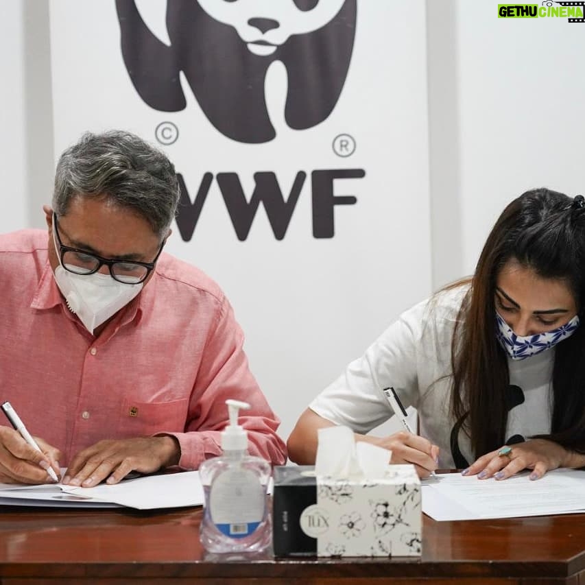 Ushna Shah Instagram - Honoured to join hands with WWFPAK as the Goodwill Ambassador and be a part of the panda family. WWF's mission is working to sustain the natural world for the benefit of people and nature. I am grateful for this platform and can not wait to get to work with these dedicated & passionate individuals. Wish us luck! 🐼 (The last two pictures are of me enjoying a gelato after my signing.. Just sharing my happy ) @wwfpak @wwf #ushnashah #wwfgoodwillambassador #conservation #wildlife #nature #wildlifephotography #animals #naturephotography #wildlifeconservation #photography #environment #travel #birds #animal #naturelovers #biodiversity #sustainability #wild #love #ocean #safari #hunting #climatechange #l #endangeredspecies #natgeo #earthhour
