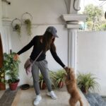 Ushna Shah Instagram - She wanted to drop me at the airport... (I’m back to being a brunette by the way) Her little paws almost stained my fresh @levispakistan kicks 👟 🐾 #happymonday #ushnashah #livinginlevis @levis #airportswag #sweatpantsandsneakers #comfortfirst #potd #toypoodle #auburntoypoodle #audreythetoypoodle #ootd #darkhair