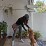 Ushna Shah Instagram - She wanted to drop me at the airport... (I’m back to being a brunette by the way) Her little paws almost stained my fresh @levispakistan kicks 👟 🐾 #happymonday #ushnashah #livinginlevis @levis #airportswag #sweatpantsandsneakers #comfortfirst #potd #toypoodle #auburntoypoodle #audreythetoypoodle #ootd #darkhair