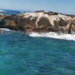 Ushna Shah Instagram - Seals really are the puppies of the ocean!⁣ The local “seal trainers” won’t tell you how they do it, but some of these babies swim down from their colony (second image, zoom in!) to the docks and end up being trained to do tricks for treats! Don’t worry, they’re totally free to swim back whenever they please. I saw it myself!⁣ ⁣ ⁣ ⁣ ⁣ ⁣ ⁣ #CapeTown 🌻⁣⁣⁣ @UshnaShah⁣⁣⁣ #Wanderlust #Travelgram #Ushna #Ushnashahtravels #SouthAfrica #Traveller #TravelDiaries #Explorer #GlobTrotter #TravelBug #DiscoverTheWorld #Incredible #ushnashah #sealcolony #capetownseals #seal⁣ #sealthedeal #beautifulsouthafrica Seal Colony at Hout Bay