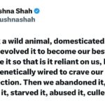 Ushna Shah Instagram – Try being kind to a dog today, a street dog especially. Feed it, let it slowly come to you, pet it.. then watch the miracle of love. Your life will change. #empathy