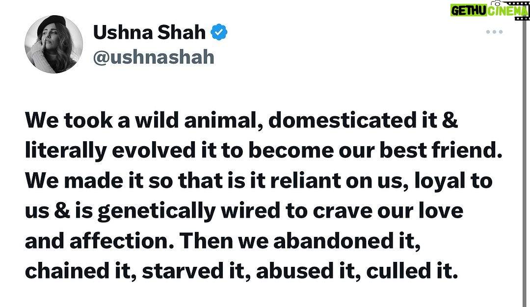 Ushna Shah Instagram - Try being kind to a dog today, a street dog especially. Feed it, let it slowly come to you, pet it.. then watch the miracle of love. Your life will change. #empathy