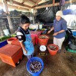Valentina Shevchenko Instagram - Fishermen village in Kamphuan. Ranong. Thailand.