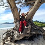 Valentina Shevchenko Instagram - Carmel By The Sea. #California Beautiful nature 😍 #RoadTravel Carmel-by-the-Sea