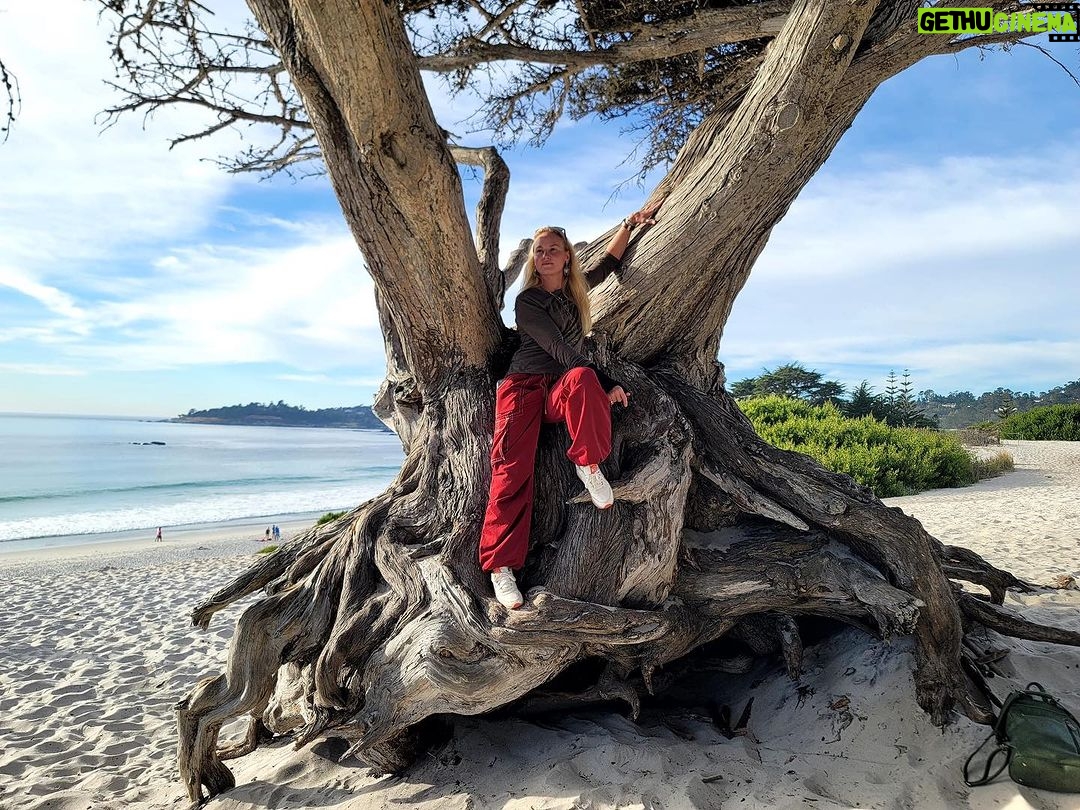 Valentina Shevchenko Instagram - Carmel By The Sea. #California Beautiful nature 😍 #RoadTravel Carmel-by-the-Sea