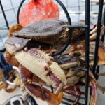 Valentina Shevchenko Instagram - Winter at Puget Sound 😍 Crabbing with friends 🦀 #DungenessCrab #PugetSound #WashingtonState Puget Sound-Seattle, WA
