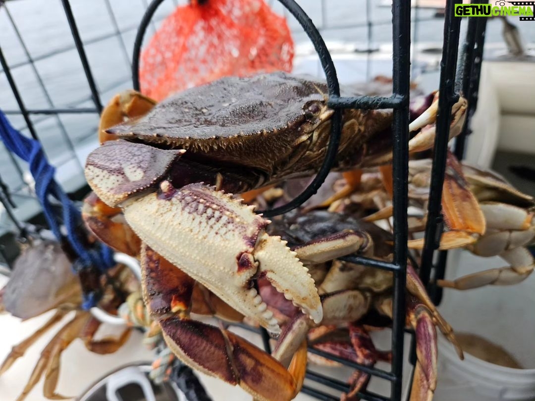 Valentina Shevchenko Instagram - Winter at Puget Sound 😍 Crabbing with friends 🦀 #DungenessCrab #PugetSound #WashingtonState Puget Sound-Seattle, WA