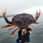 Valentina Shevchenko Instagram - Winter at Puget Sound 😍 Crabbing with friends 🦀 #DungenessCrab #PugetSound #WashingtonState Puget Sound-Seattle, WA