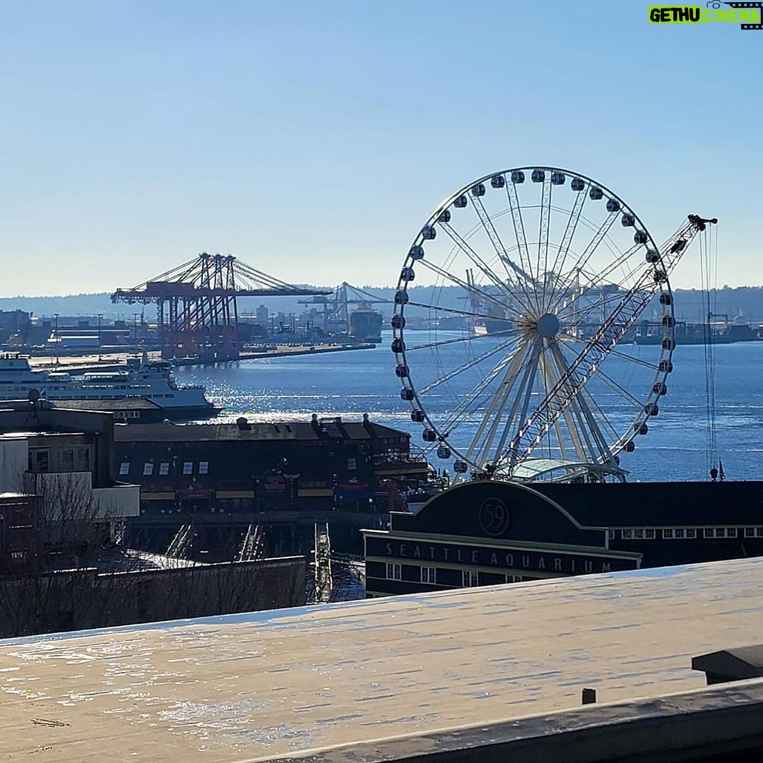 Valentina Shevchenko Instagram - Thanksgiving ๐ฆ๐ day with friend in Seattle ๐งก๐ Seattle, WA, USA
