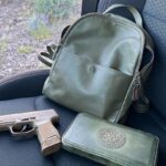 Valentina Shevchenko Instagram - Got this beauty from #Brownells for my #CCW 😍 @brownellsinc @sigsauerinc #TheBullet #P365 #arizona