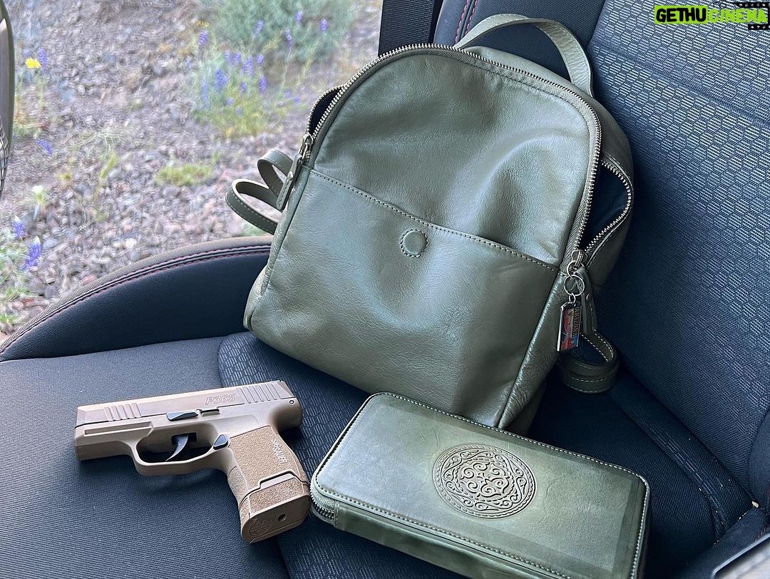 Valentina Shevchenko Instagram - Got this beauty from #Brownells for my #CCW 😍 @brownellsinc @sigsauerinc #TheBullet #P365 #arizona