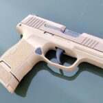 Valentina Shevchenko Instagram - Got this beauty from #Brownells for my #CCW 😍 @brownellsinc @sigsauerinc #TheBullet #P365 #arizona