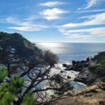 Valentina Shevchenko Instagram - Carmel By The Sea. #California Beautiful nature 😍 #RoadTravel Carmel-by-the-Sea