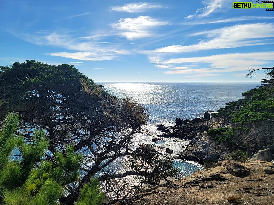 Valentina Shevchenko Instagram - Carmel By The Sea. #California Beautiful nature 😍 #RoadTravel Carmel-by-the-Sea