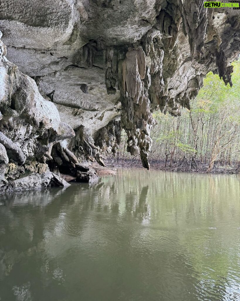 Valentina Shevchenko Instagram - Mangrove forest and cove. Riding a boat in Krabi. Thailand. Krabi, Thailand