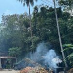Valentina Shevchenko Instagram – Jungle of coconut trees 🌴🥥 
And fresh made #coconutoil right from the local farm 🥰 

#Thailand #Samui #Travel Koh Samui Island, Thailand
