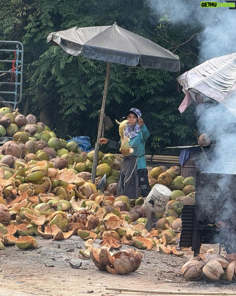 Valentina Shevchenko Instagram - Jungle of coconut trees 🌴🥥 And fresh made #coconutoil right from the local farm 🥰 #Thailand #Samui #Travel Koh Samui Island, Thailand