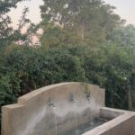 Verónica Lozano Instagram – Esta es la historia de dos perritos que se querían mucho , un día conocieron una niña llamada Antonia y nunca más se quisieron despegaron de ella . 
Una tarde de sol con sabor a agua fresca encontraron una señora que reía y juntaba flores . 
Cómo puede seguir esta historia ? Te invito a escribir 💬 
Fotos / palabras / cuentos sin sentido 🙌🏻🍀
@berna.com.ar 🧡 @bymillie.bressi @anitakorman @rickysarkany