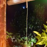 Verónica Lozano Instagram – Había una glicina con luz de luna ,que tenía una casita con acuarelas y mesas para degustar platos ricos . Cuando bajaba el sol un perrito dormía en un canasto ,soñaba con volar y a su mamá saludar 😅❤️.

Sin sentido… fotos que tejen  palabras y cuentos 🧚🙌🏻