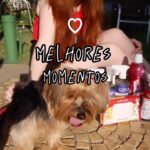 Victória Diniz Instagram - Eu e a Fanny sempre colecionamos momentos muito especiais juntas, viagem, passeios ou até mesmo em casa! E @cafunepets sempre está presente nesses momentos, com os melhores produtos para o bem estar do seu Pet!! Por isso Cafuné é a marca mais recomendada por veterinários. #QueroUmCafuné #CafunéPets #Publicidade