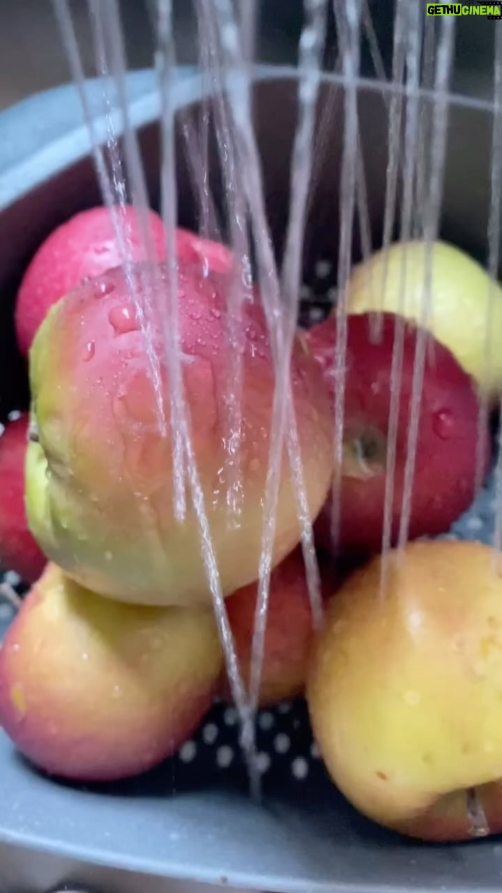 Vikas Khanna Instagram - It’s apple season.