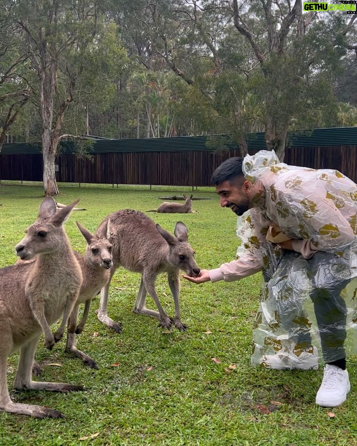 Vikram Barn Instagram - We met kangaroos! 🦘 Australia Zoo