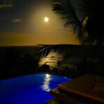Vincent Cassel Instagram - Feliz Natal tropical #fullmoon🌕