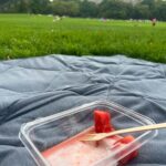 Vinny Guadagnino Instagram - you can plan a pretty picnic but you can’t predict the weather Central Park, New York
