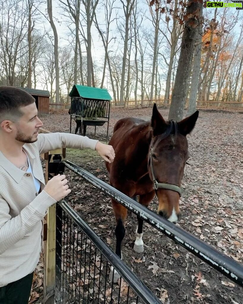Vinny Guadagnino Instagram - just horsing around