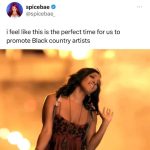Viola Davis Instagram - Tag some of your favorite black country artists 🤠🔥❤️ ・・・ I love seeing so many amazing black country artists getting the credit they deserve with Beyonce’s new drop!🔥 Which of these are your favorite? 1. @mickeyguyton - Better Than You Left Me 2. @shaboozey - Anabelle 3. @tanneradell - Buckle Bunny 4. @williejones - Down By The Riverside 5. @thereynaroberts - Louisiana 6. @breland - My Truck 7. @tonyevansjr - Somebody's Gotta Do It 8. @jimmieallen - Down Home 9. @shycarterofficial - How Did You Sleep 10. @blancobrown - The Git Up ✍🏾@nickcannon