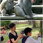 Vivian Hsu Instagram – 像嗎？

太熱的時候我們就會長這樣🤣

當導演ㄧ喊卡！立刻把毛衣脫下
然後想辦法不要中暑

#夏天拍秋冬季節的戲真的好熱 #多喝水
#電影雙打 #映画雙打 #DoublesMatch
#好擔心小演員中暑

暑い時はこういうふうになる。
はい、カット！が聞こえた瞬間にすぐにセーターを脱いて、熱中症にならない方法を全部試した。

#夏に秋冬シーンを撮るのは本当に暑い

妝 @jean11206
髮 @lounes_chen  @bbl._.412