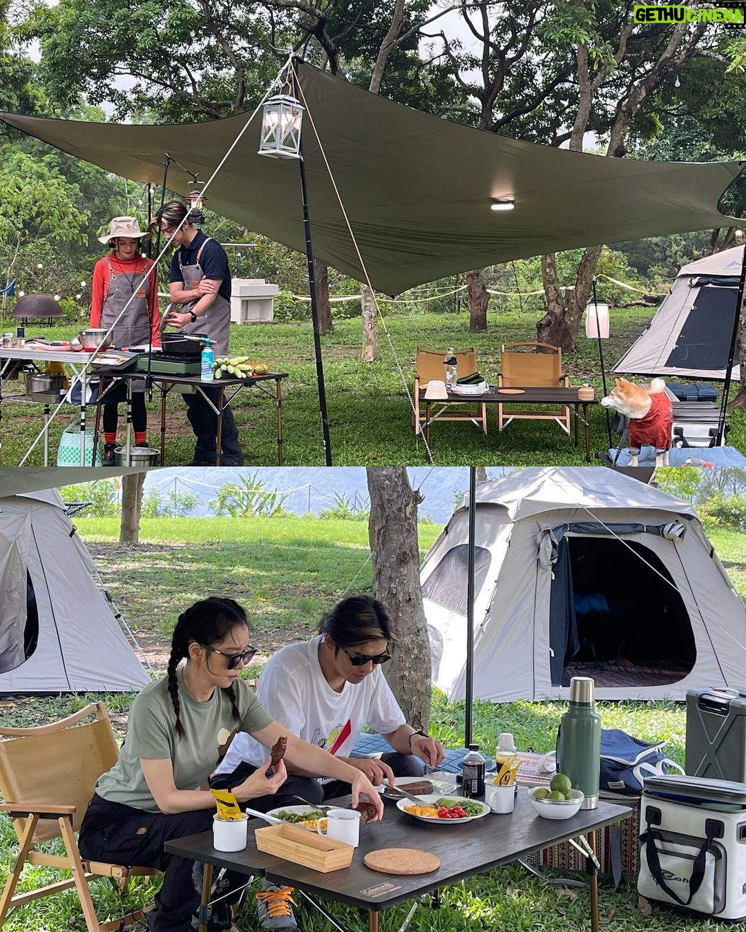 Vivian Hsu - 23.6K Likes - 我喜歡我的的森林裝扮🧡
我們一起去完成了一個很棒的任務
可愛又乖巧的Afuri(柴柴)
我已經開始想你了 @afuriinu
#極島森林2 @extreme.forest
#謝謝陳柏霖 @chenbolin
#謝謝孫敬閔孫老師 @chingminsun
#チェンボーリンありがとう
@grayscale.production
自分の森コーデが気に入ってる🧡
私たちはある素敵なミッションをクリアしに行ってきました。
可愛いお利口ちゃんのAfuri(柴犬)
もう恋しいよ
💇🏻♀️ @lounes_chen
💄 @jenny_lin_0418
🧥 @rockland_taiwan
🥾 @palladium_taiwan