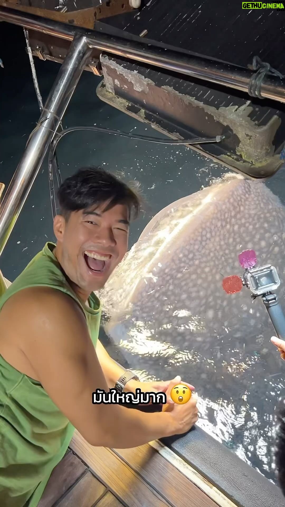 Vuthithorn Milintachinda Instagram - ฟินที่สุดในชีวิต ไม่คิดว่าจะเจอฉลามวาฬใกล้ขนาดนี้ 🐋🥹