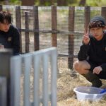 Wachirawit Ruangwiwat Instagram – . . . ใครดูแล้วบ้าง . . . 
#homeschoolseriesep1ep2