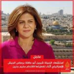 Wafaa Amer Instagram - ماتت شريين و لم تمت السنة الحق خالص العزاء لكل صحفي شريف يحمل قلما كالسيف في الجنة يا شريين شهيدة عمل و كلمة حق