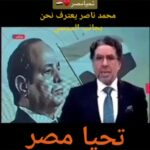 Wafaa Amer Instagram – معارضين مصر في الخارج مع قرار حماية الدولة