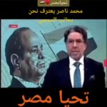 Wafaa Amer Instagram - معارضين مصر في الخارج مع قرار حماية الدولة