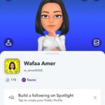 Wafaa Amer Instagram -