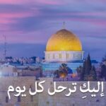Wafaa Amer Instagram - #فلسطين#فلسطين