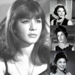Wafaa Amer Instagram - بكل الحزن والأسى انعي الفنانة القديرة العظيمة شويكار ... ربنا يرحمها يااارب