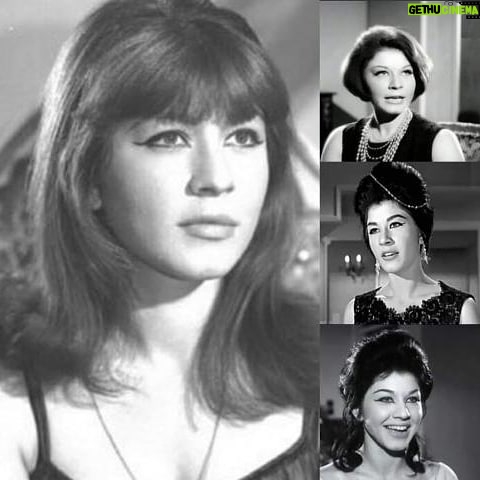 Wafaa Amer Instagram - بكل الحزن والأسى انعي الفنانة القديرة العظيمة شويكار ... ربنا يرحمها يااارب