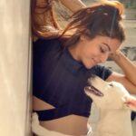 Wamiqa Gabbi Instagram - Missing my sajan ♥️ Shooting in another city and not going home to my animals makes me sad sometimes 💔 These videos of us keeps me happy during these times ✨