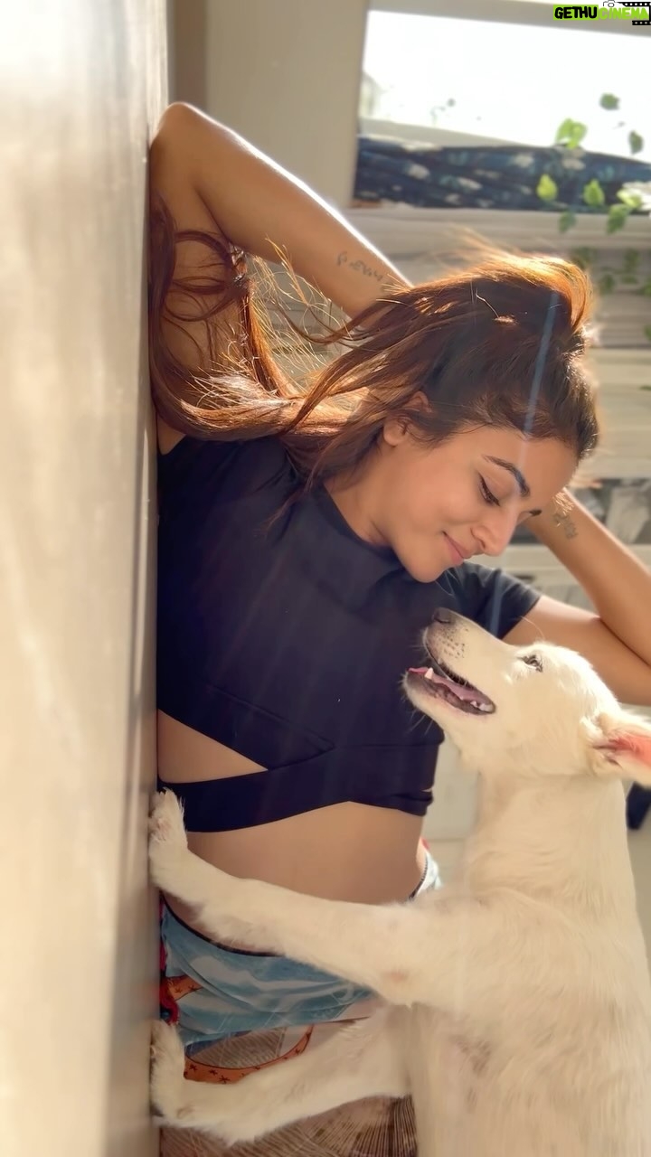 Wamiqa Gabbi Instagram - Missing my sajan ♥️ Shooting in another city and not going home to my animals makes me sad sometimes 💔 These videos of us keeps me happy during these times ✨