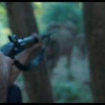 Wamiqa Gabbi Instagram - Honest and Impactful : A crime thriller so honest and impactful! So so immersive, just not able to come out of its experience. #PoacheronPrime @primevideoin @richie.mehta @dibeyenduofficial @roshan.matthew @nimisha_sajayan @aliaabhatt @mansfield.ray