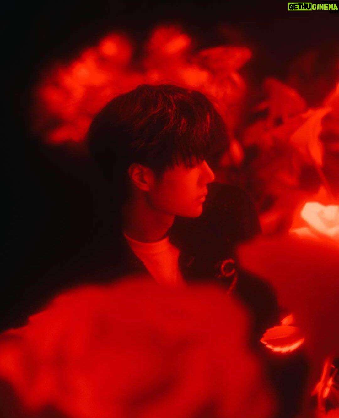 Wang Yibo Instagram - 一场无法被轻易复制,震撼的极致体验之旅#MademoisellePrive #CHANEL #BAZAAR