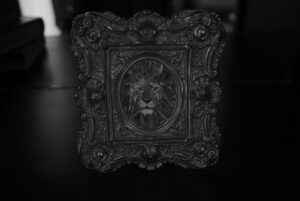 Wang Yi Bo Instagram - 